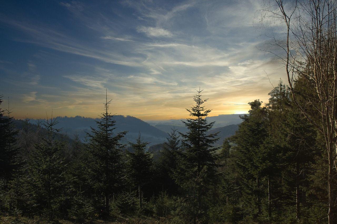 Region Schwarzwald & Elsass